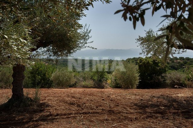 Land ( province ) for Sale -  Messenia, Peloponnese