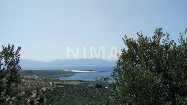 Land ( province ) for Sale -  Hermioni, Peloponnese