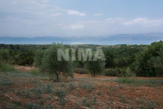 Land ( province ) for Sale -  Messenia, Peloponnese