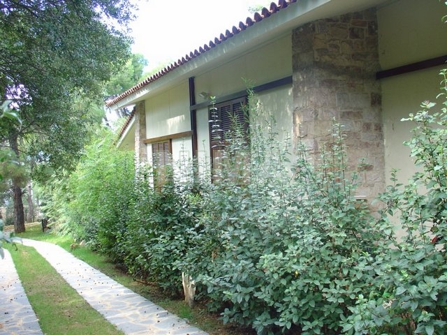 Freestanding house for Sale Ekali, Athens northern suburbs (code N-11523)
