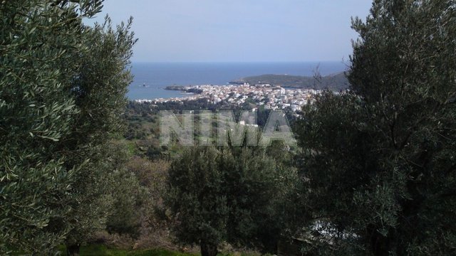 Land ( province ) for Sale Andros, Islands (code M-1110)