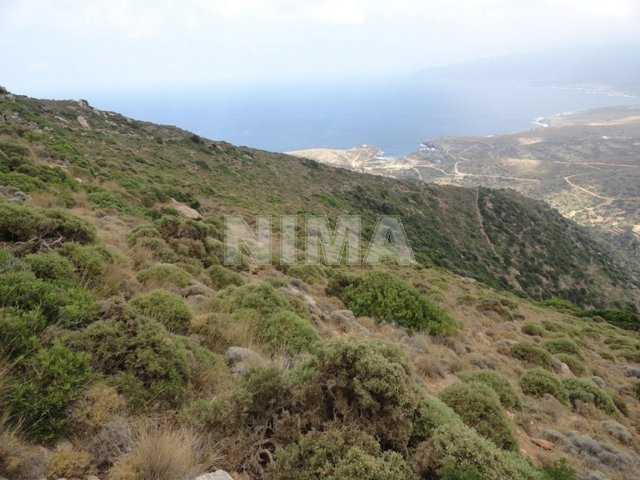 Terrain ( province ) à vendre Andros, Îles (Référence M-211)