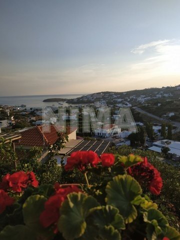Maison de vacances à vendre Andros, Îles (Référence N-14762)