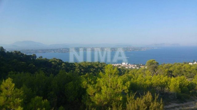 Land ( province ) for Sale Spetses, Islands (code M-126)