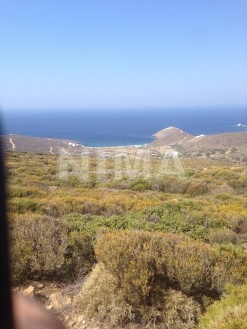 Land ( province ) for Sale Andros, Islands (code M-82)