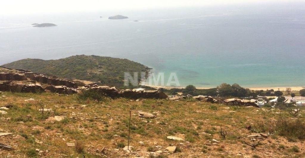 Land ( province ) for Sale Andros, Islands (code M-323)
