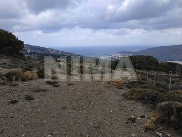 Land ( province ) for Sale Andros, Islands (code M-644)