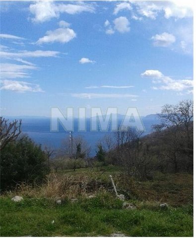 Land ( province ) for Sale Pelion, Coastal areas of mainland Greece (code N-15017)