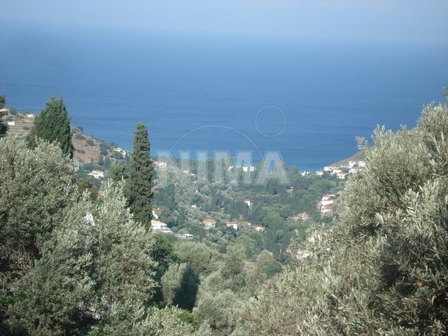 Terrain ( province ) à vendre Andros, Îles (Référence N-12401)